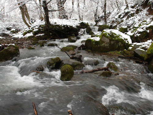 Foto valea Bulzului (c) Petru Goja